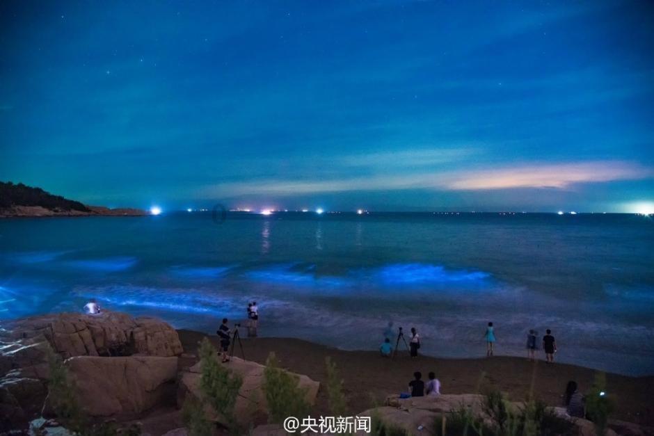 88影视