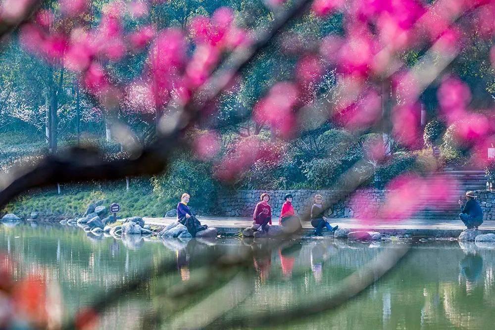 全民剧本大师内置菜单